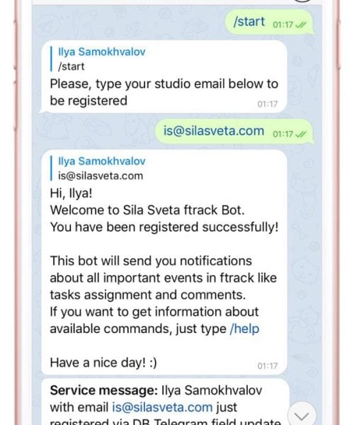 Sila Sveta_API customization_2c